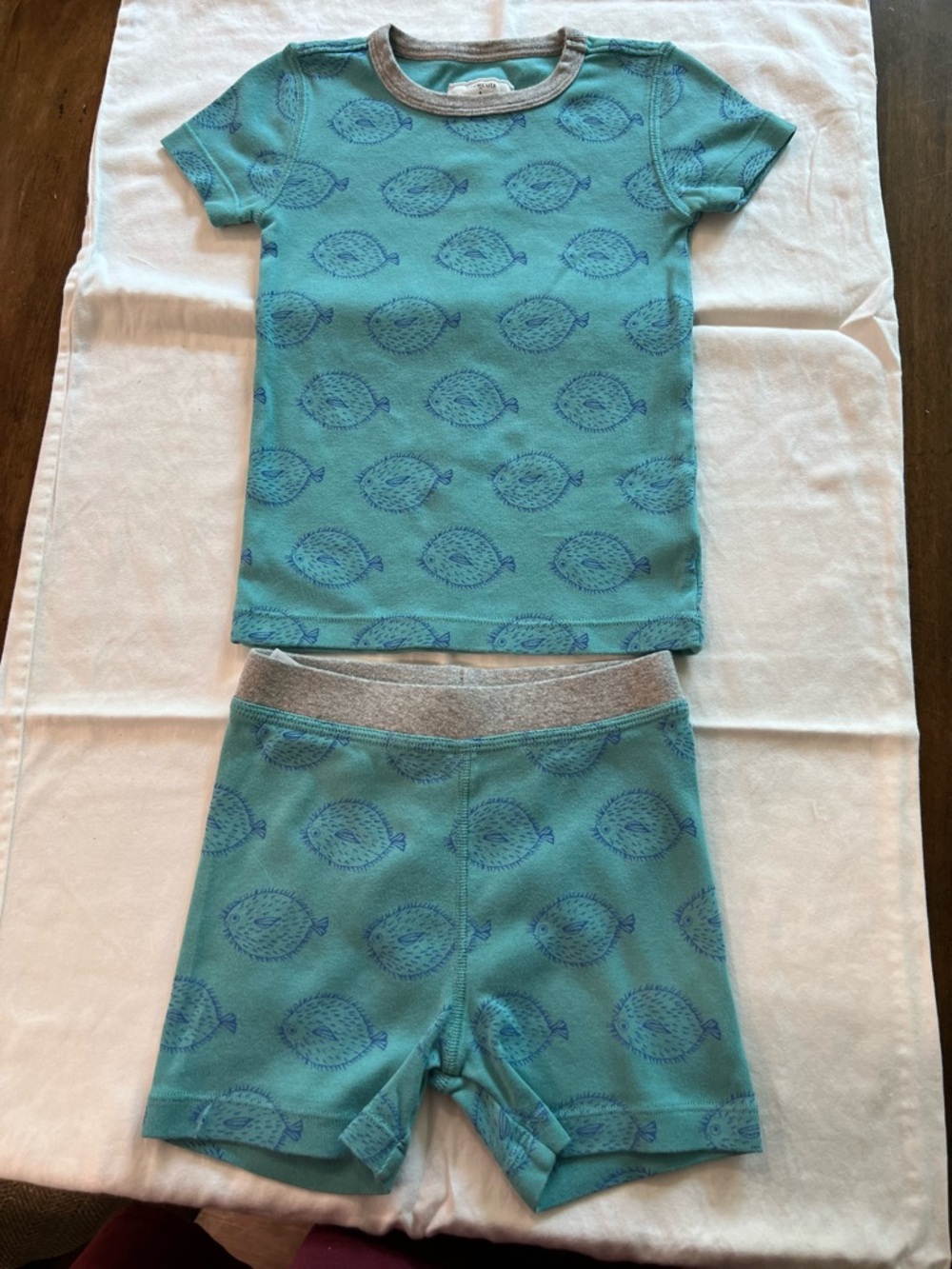 Crewcuts Kids Teal Print 2 Piece Cotton Knit Play or PJs 3T
